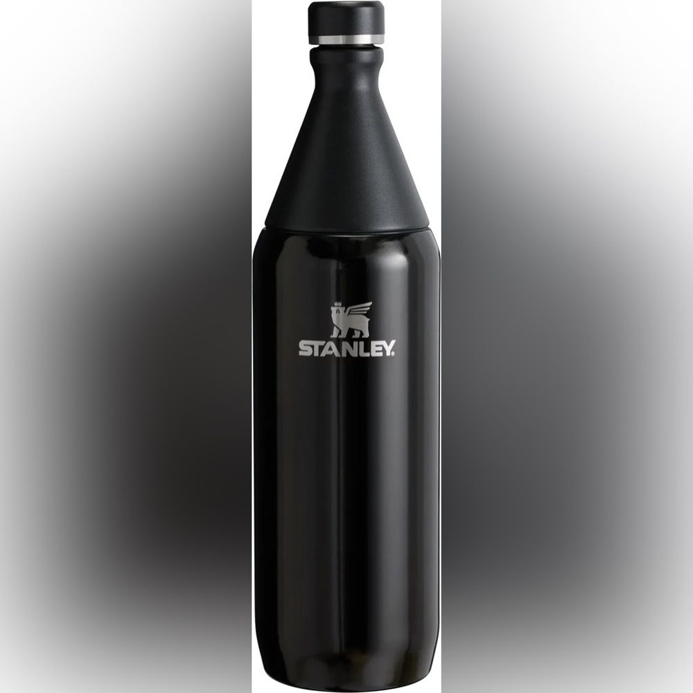 Stanley 20oz. All Day Slim Bottle